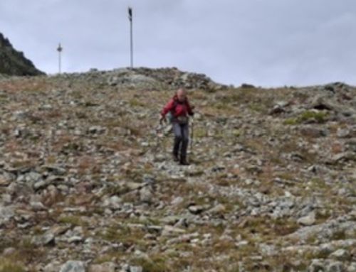 Hiking the Alps less than a Year after Knee Replacement